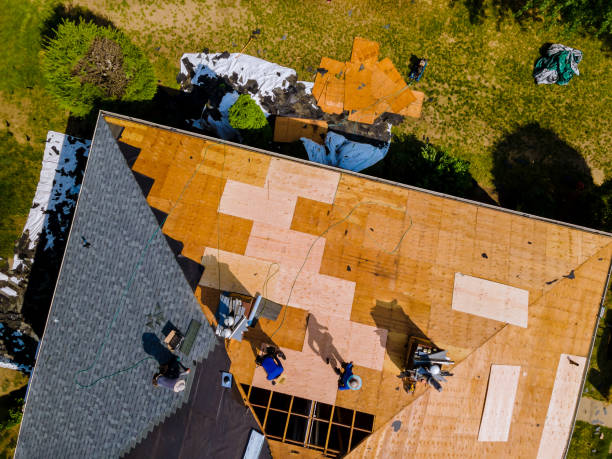 Best Flat Roof Repair Services  in Lake Lakengren, OH