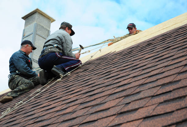 Best Roof Restoration Services  in Lake Lakengren, OH
